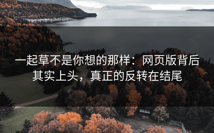 一起草不是你想的那样：网页版背后其实上头，真正的反转在结尾
