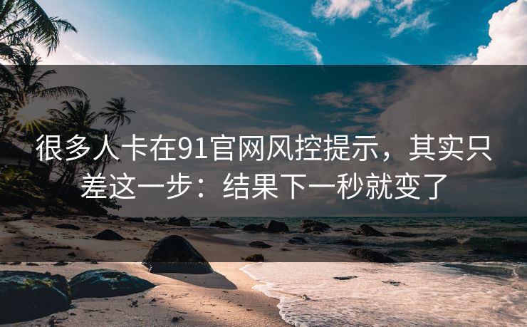 很多人卡在91官网风控提示，其实只差这一步：结果下一秒就变了