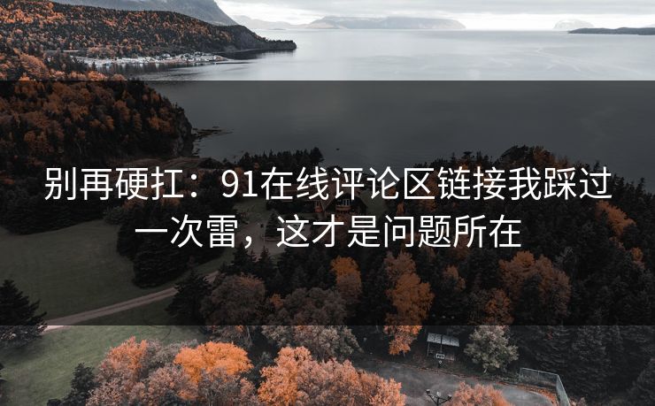 别再硬扛：91在线评论区链接我踩过一次雷，这才是问题所在