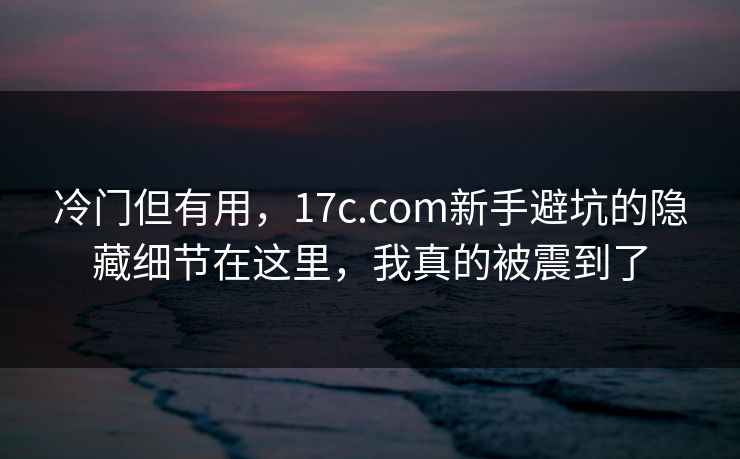 冷门但有用,17c.com新手避坑的隐藏细节在这里,我真的被震到了 冷门但有用,17c.com新手避坑的隐藏细节在这里,我真的被震到了