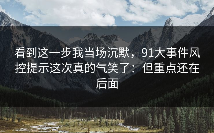 看到这一步我当场沉默，91大事件风控提示这次真的气笑了：但重点还在后面