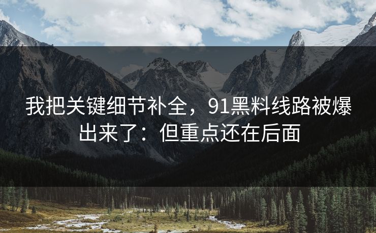 我把关键细节补全，91黑料线路被爆出来了：但重点还在后面