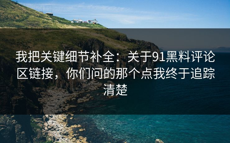我把关键细节补全：关于91黑料评论区链接，你们问的那个点我终于追踪清楚