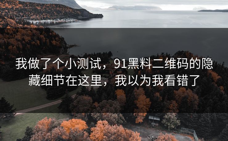 我做了个小测试，91黑料二维码的隐藏细节在这里，我以为我看错了